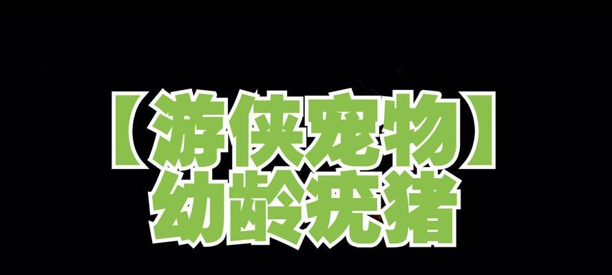 掌握这些宠物，助您在游戏中无往不利（掌握这些宠物）
