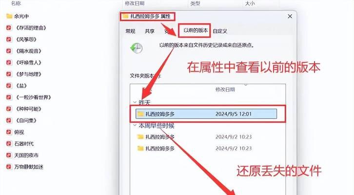 如何找回已删除的文件（教你从电脑中恢复误删的重要文件）